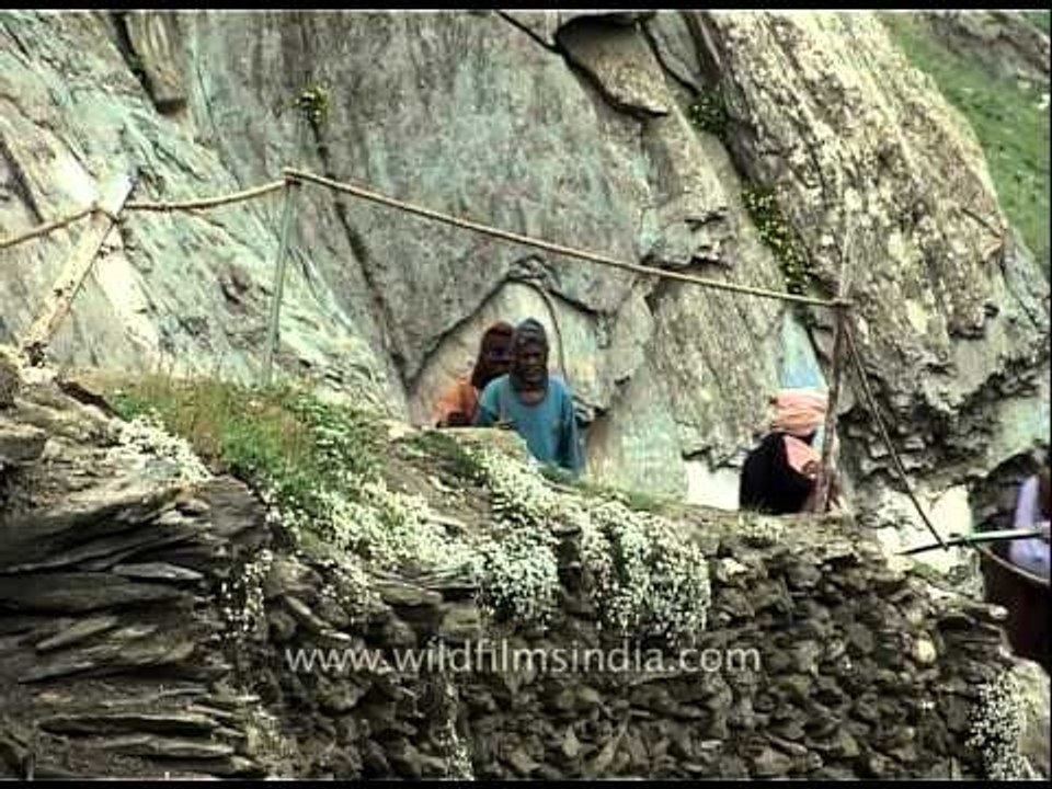 Hindu pilgrims climb to Amarnath Cave