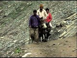 Pilgrims on the way to Amarnath Temple