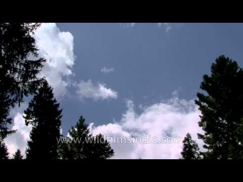 Fast moving clouds - Time lapse