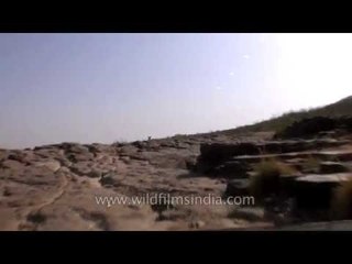 Drive through Panna National park across the Ken river