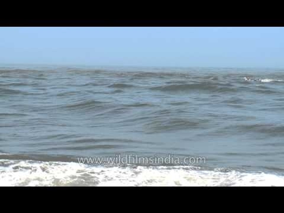 Waves of the Arabian Sea as seen from Neendakara Port, Kerala