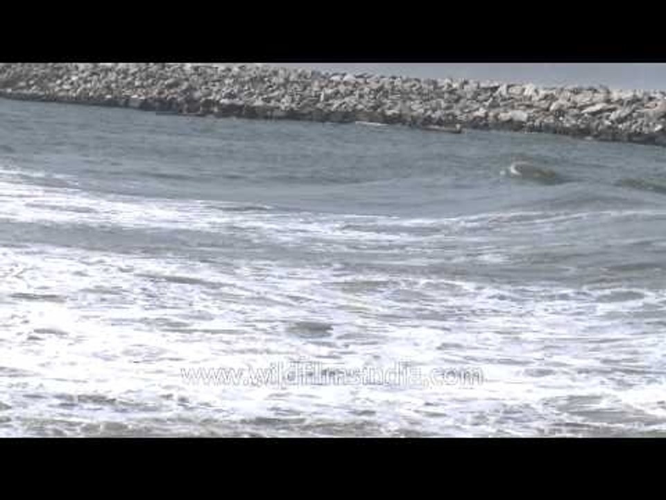 Waves hitting the shores - Kerala