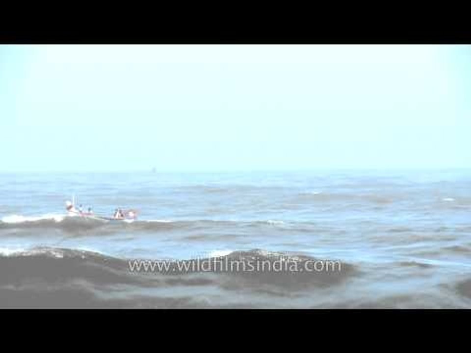 Fishing boat through the waves of Arabian sea