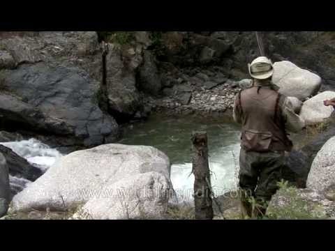 Angler catch fish with a fishing rod in Kashmir
