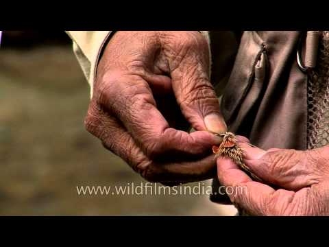 Angler shows an artificial fly used for fishing in Kashmir
