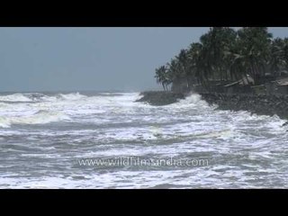 Waves hit shore of Neendakara beach, Kerala