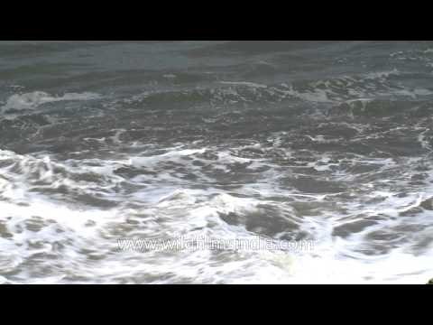 Waters of Arabian Sea, as seen from Neendakara Beach, Kerala