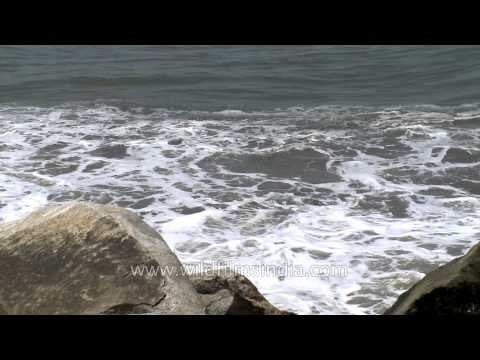Waves of Arabian sea as seen from Neendakara Beach, Kerala