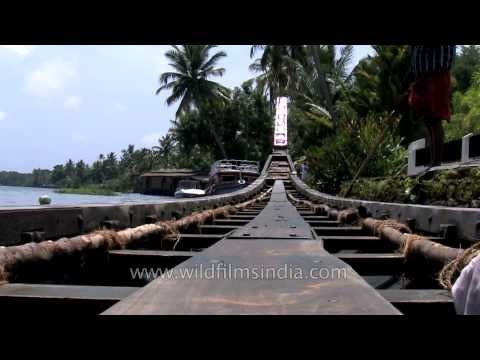Snake boat in backwaters of Kerala