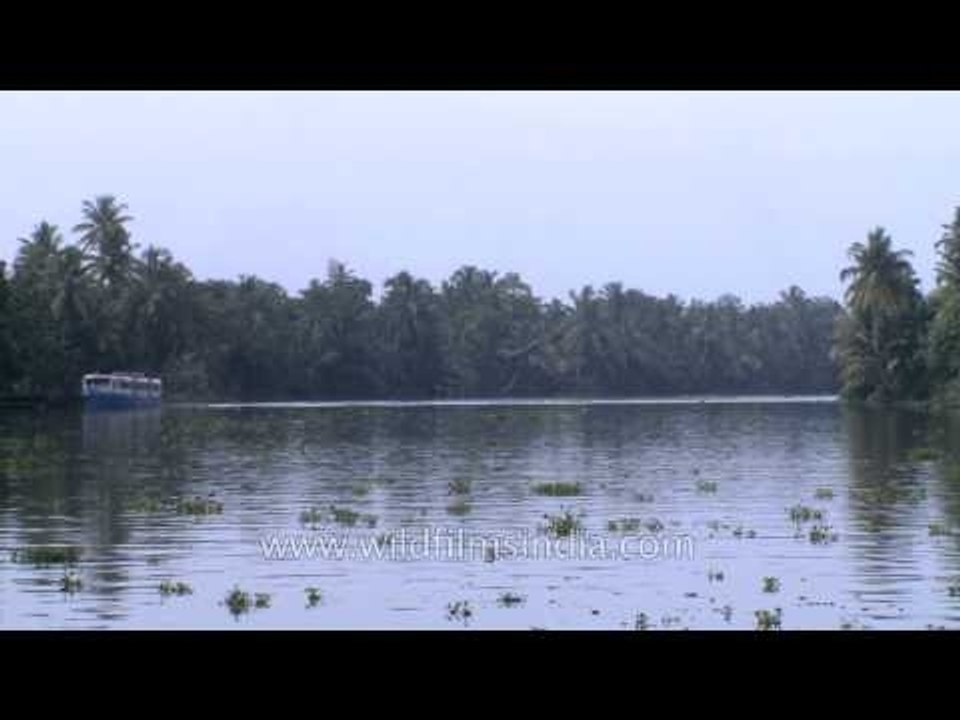 Boat cruises through backwaters of Kerala