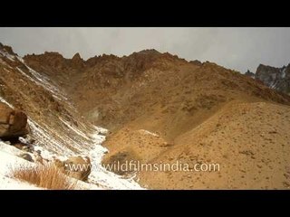 Landscape of Himalayan mountains - Ladakh