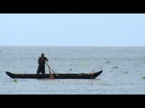 Fisherman catching fish on Lake Vembanad - Kerala