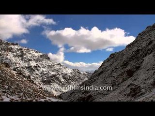 View of the majestic Himalayas - Ladakh