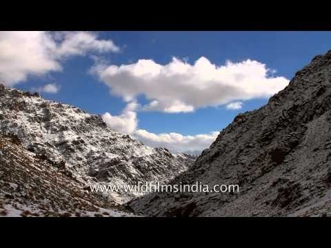View of the majestic Himalayas - Ladakh