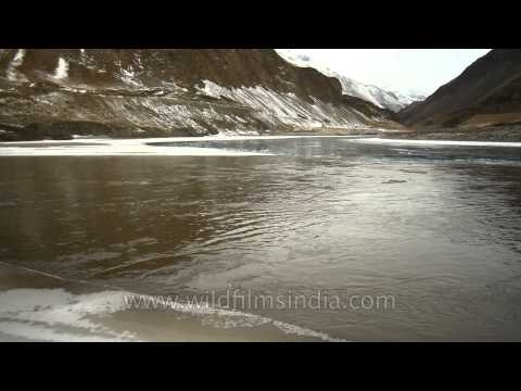Zanskar and Indus river confluence in Ladakh