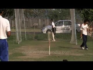Future of Indian cricket - India