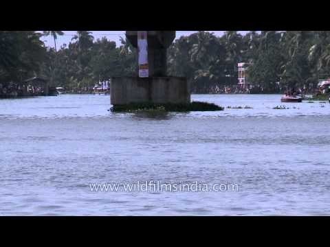 Boat ride by tourists during Champakulam boat race
