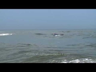 Boat sailing in the Arbian sea - India
