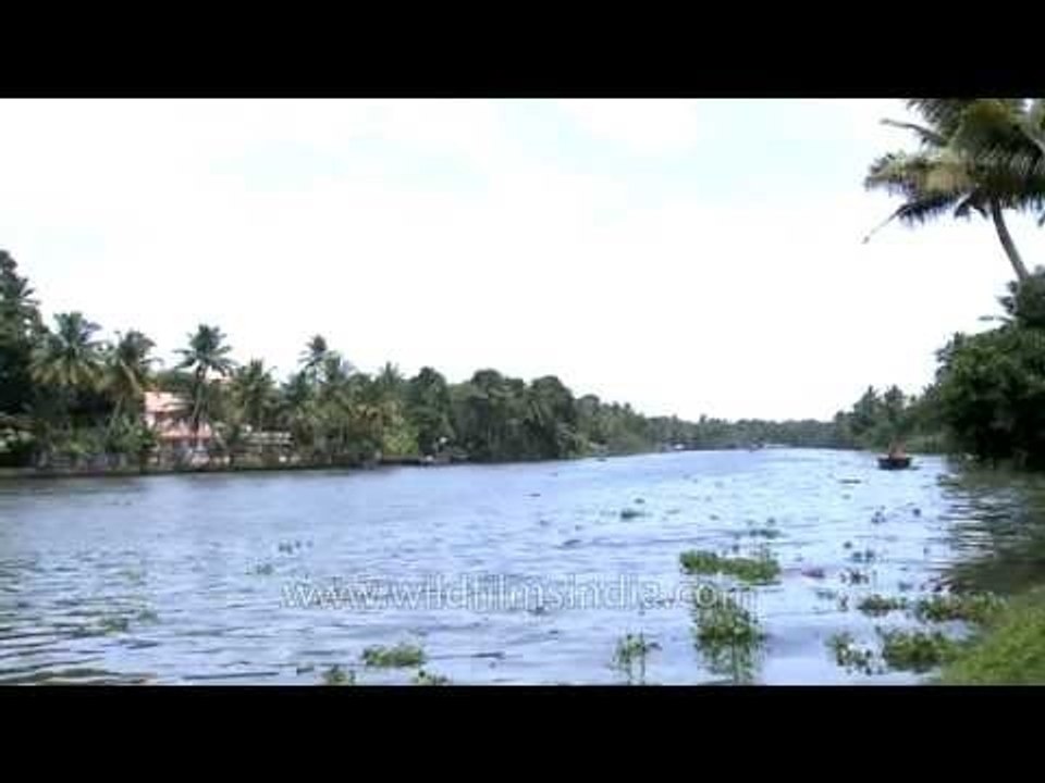 Motor boat sailing at backwaters of Kerala - India