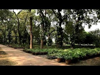 Sunder Nursery - Sunderwala Burj, Delhi