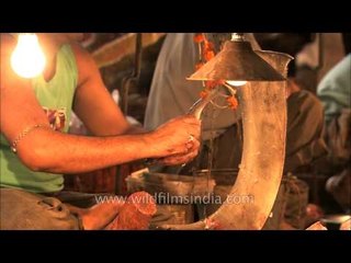 Shopkeeper cuts fish in equal pieces to sell to customers: Kolkata