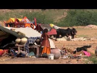 Slum area - Jodhpur