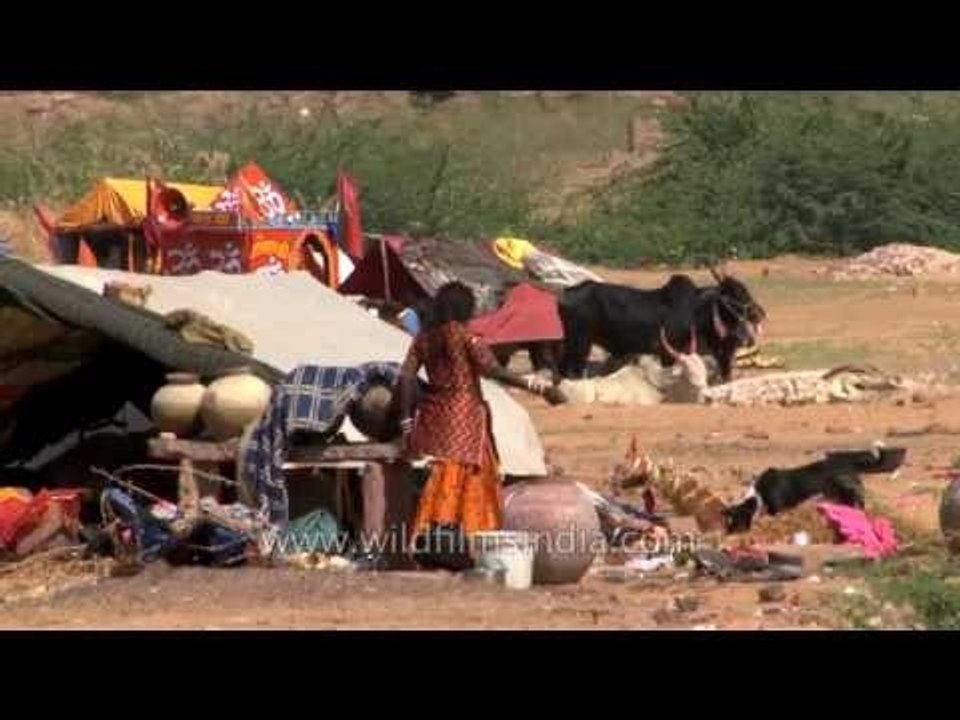 Slum area - Jodhpur