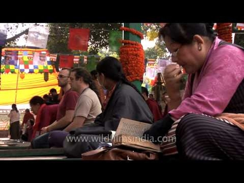 Tibetan woman reads spiritual book during Kalachakra at Bodhgaya