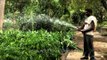 Man waters green plants at Sunder Nursery in Delhi