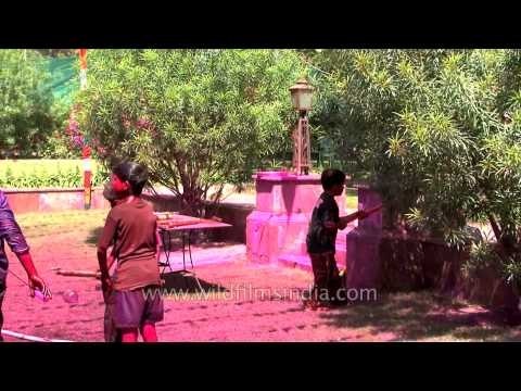 Children playing with colours during Holi Festival