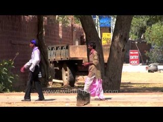 Holi celebration in Jodhpur
