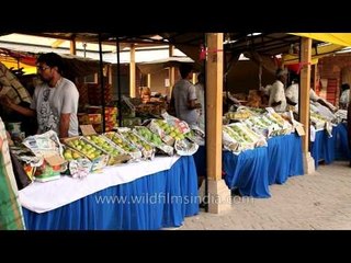 Luscious mangoes on display for sale: Mango festival in Delhi