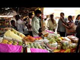 Varieties of mangoes for sale during International mango festival in Delhi