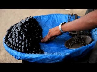 Jamun fruit seller in New Delhi: Odd Jobs