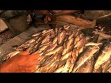 Live fishes, prawns and eels for sale - Kolkata fish market