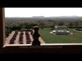 Umaid Bhawan Palace garden, Jodhpur