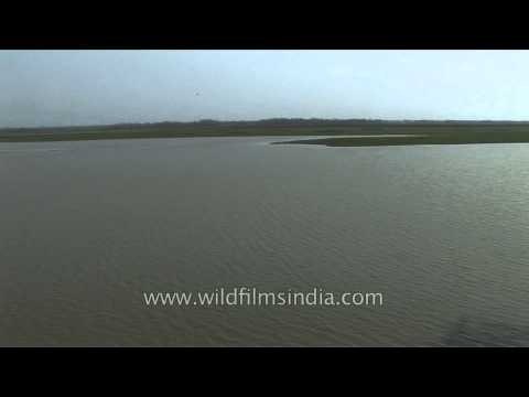 Panoramic view of Brahmaputra River in Kaziranga National Park, Assam