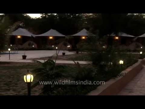 Evening view of Infinity Resort Rann of Kutch - Gujarat