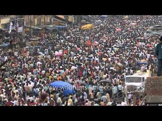 Download Video: Devotees of Lord Jagannath throng in the city of Puri - Chariot Festival