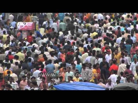 Influx of devotees during Lord Jagannath's Rath Yatra