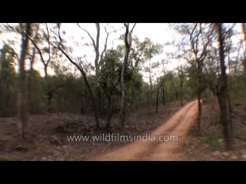 Entrance gate of Panna Tiger Reserve, Madhya Pradesh