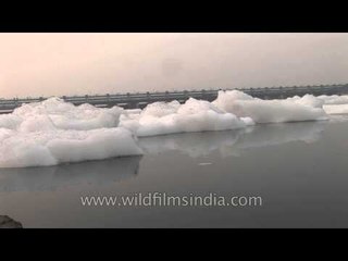 Descargar video: Toxic foam chokes Yamuna River - Delhi