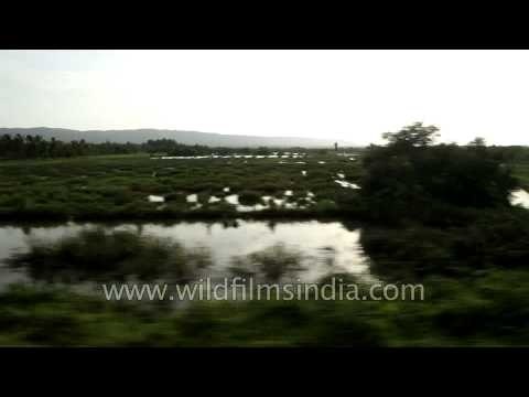 Train journey crossing Kerala backwaters