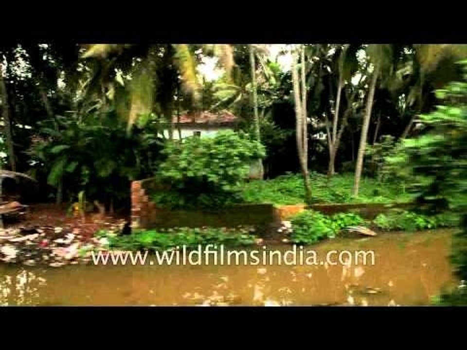 Lots of coconut trees everywhere: Train journey from Kerala to Delhi