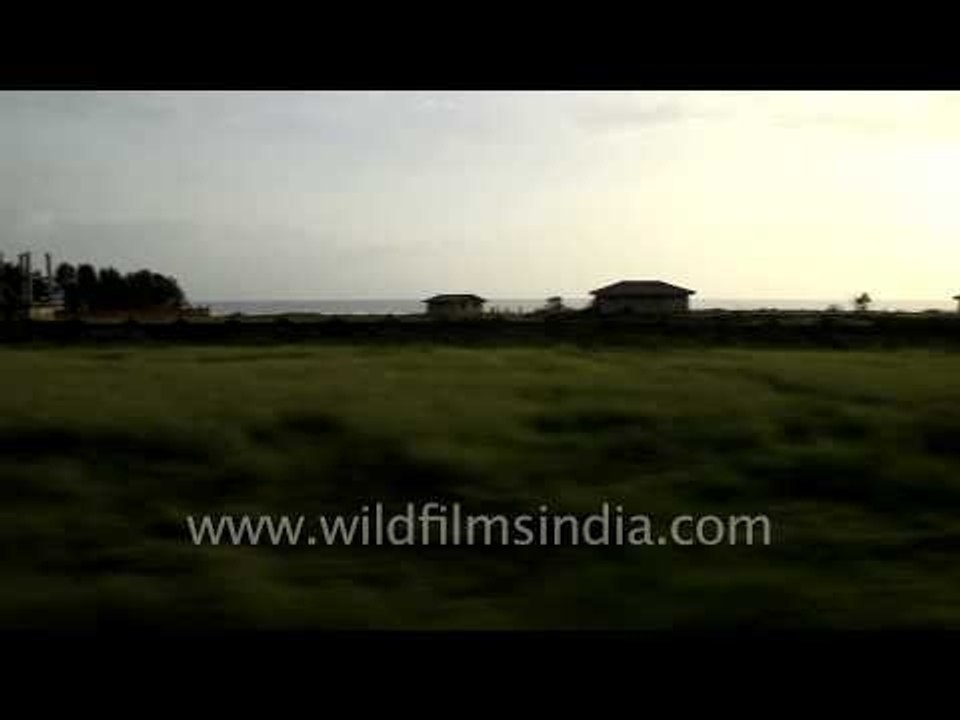 Backwaters of Kerala through train window