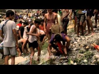 Villagers from nearby villages participate in fish killing festival