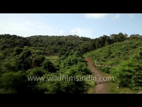 Green fields through a train window: Kerala journey