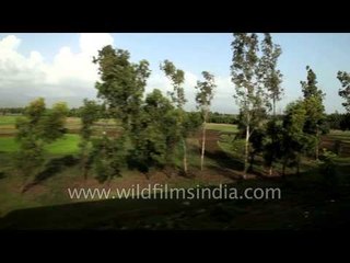 Green fields of Kerala seen through train window