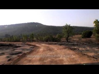 Driving up from Madla Gate towards Ken River, Panna