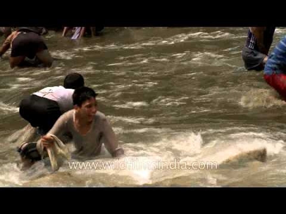 Fishing festival of Garhwal Himalayas at Aglar river